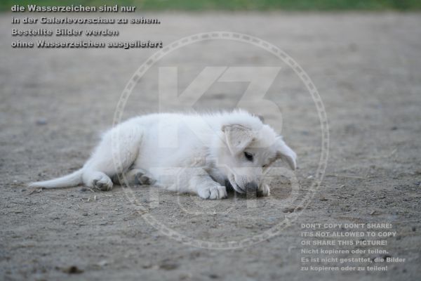 s_K3F01908.jpg
